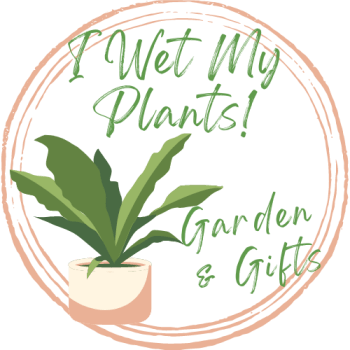 I Wet My Plants Garden & Gifts, kokedama teacher